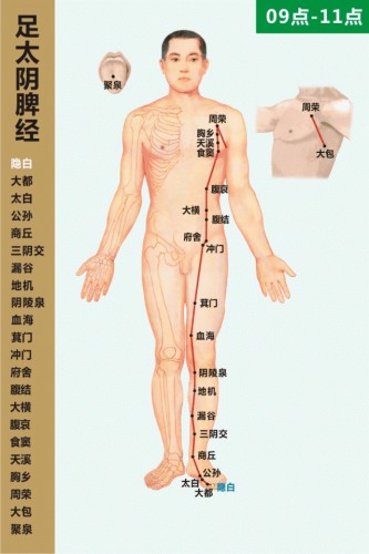足太陰脾經(jīng)經(jīng)絡(luò)圖