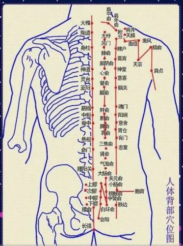 背部經(jīng)絡(luò)圖