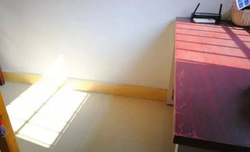 太陽光