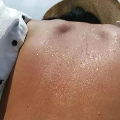 吸收太陽的能量補充自己的“元陽”