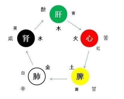 五行與五臟的關(guān)系