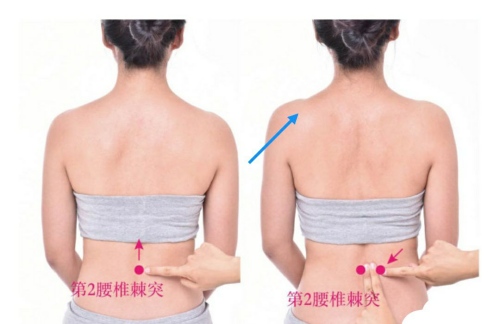 腎俞穴位置
