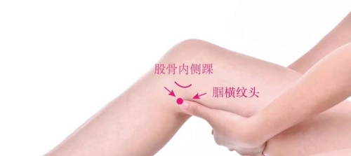 曲泉穴位置
