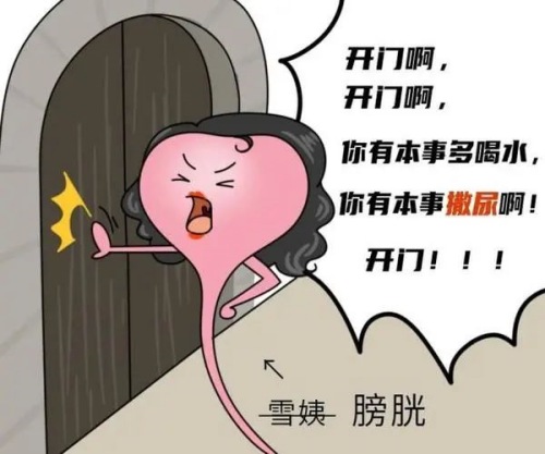 膀胱